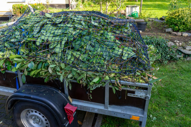 Best Moving and Downsizing Cleanouts  in Central City, KY